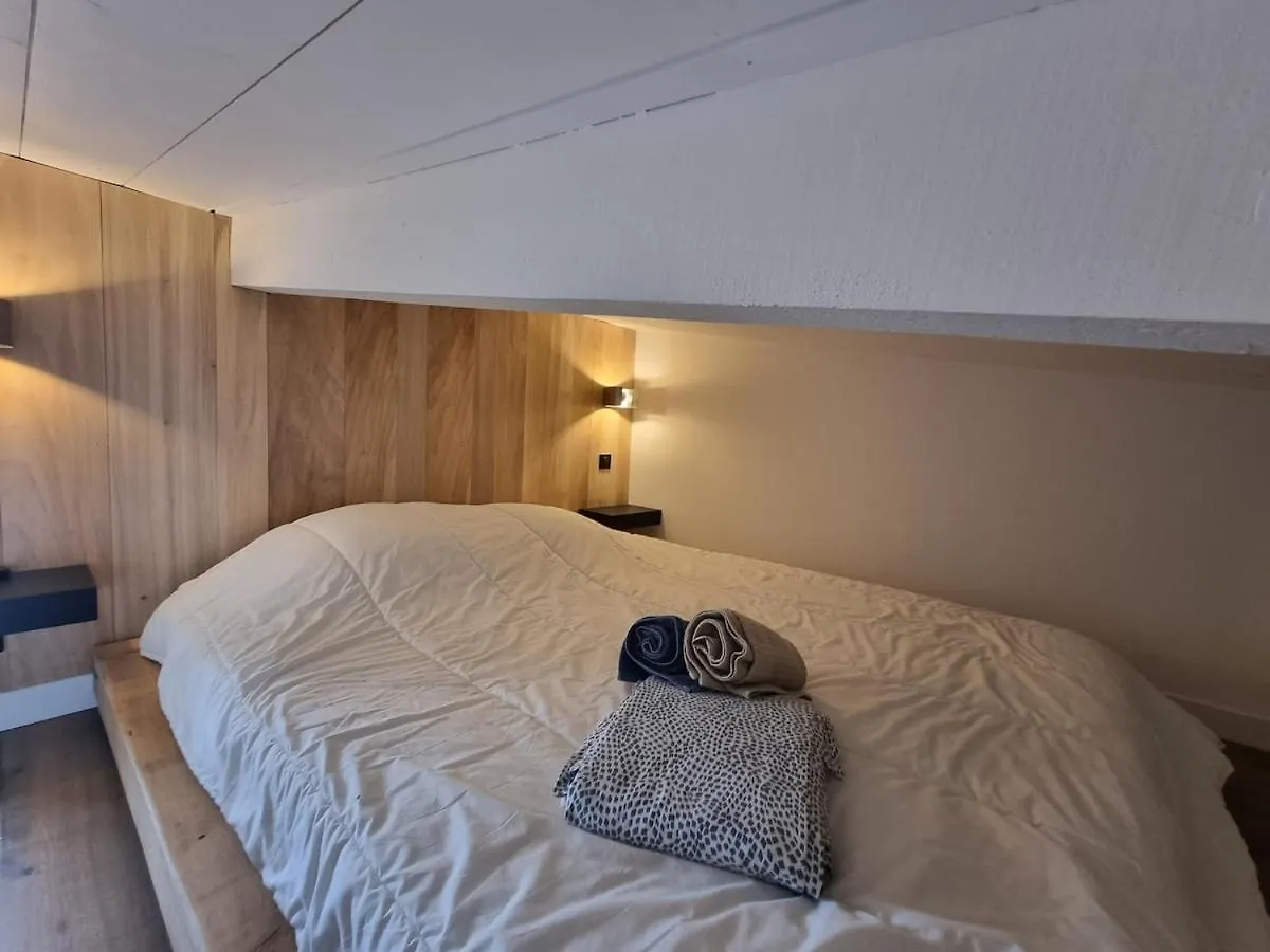 Le Flocon-Duplex Face Aux Pistes Daire La Mongie Fransa