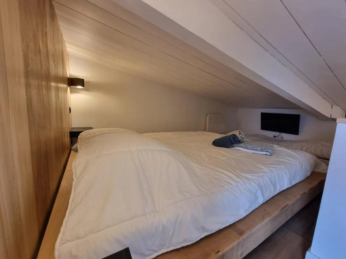 Le Flocon-Duplex Face Aux Pistes Daire La Mongie
